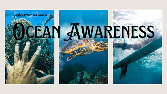 Dive Into June Ocean Awareness Month